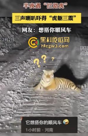 司机遇东北虎赖在公路上，喇叭按了几遍，结果虎王连动都不动，这哪是动物简直是路霸！-7